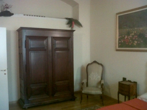 Appartamento in Affitto Torino Centro -  - 