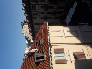 Appartamento in Affitto Torino San Donato